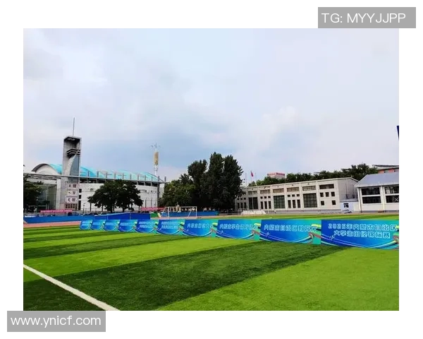 田径赛事观众须知全攻略让您轻松享受精彩比赛体验