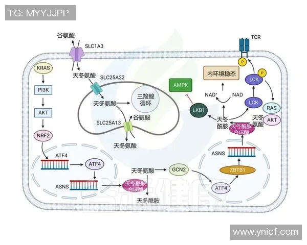 奥尔莫远射精彩瞬间回顾与技术分析，揭示其在比赛中的关键作用与影响