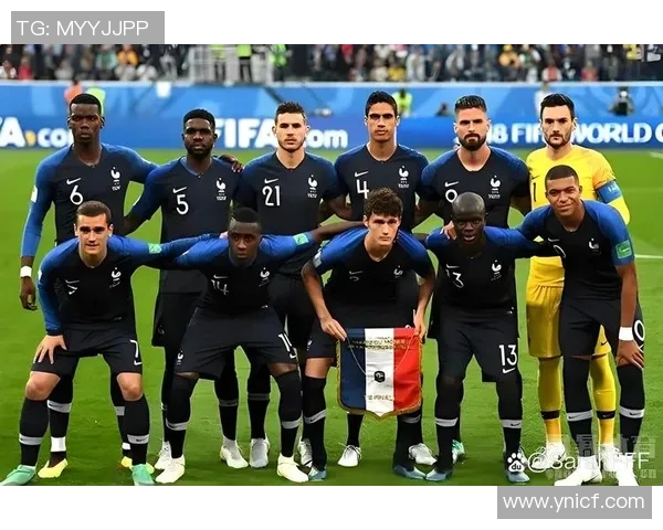 法国队力克德国,晋级欧洲杯16强! 法国队力克德国,晋级欧洲杯16强!