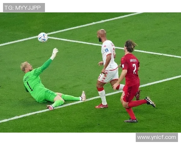 突尼斯队首次参加欧洲杯，表现亮眼晋级16强